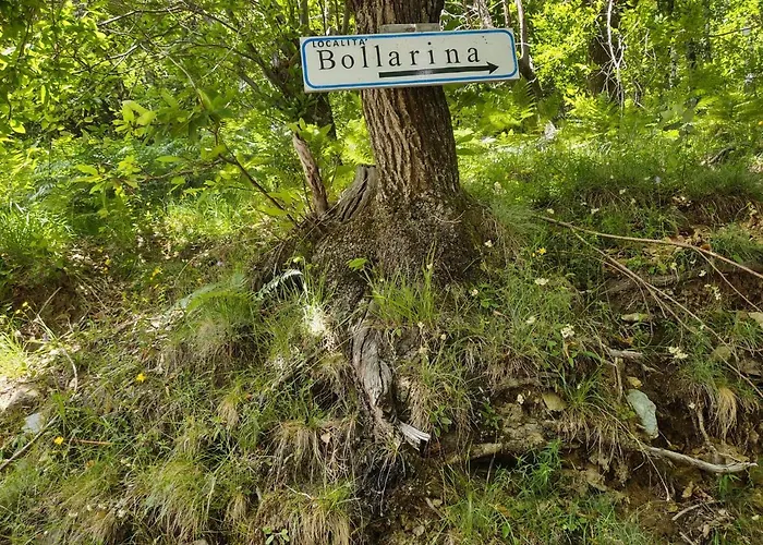 Διαμέρισμα Dei Nonni-2 By Interhome